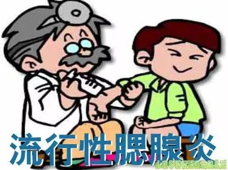 【聽(tīng)力科普】流行性腮腺炎或可導致永久性聽(tīng)力損失(圖4) 【聽(tīng)力科普】流行性腮腺炎或可導致永久性聽(tīng)力損失(圖4)
